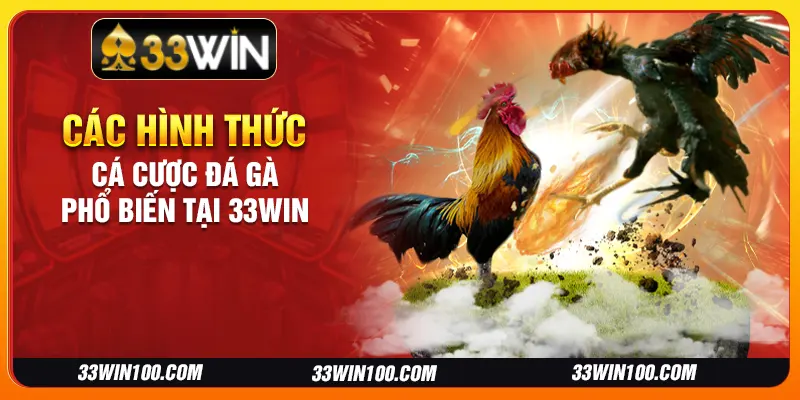 Các hình thức cá cược đá gà phổ biến tại 33Win