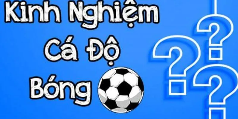 Tìm hiểu những thủ thuật cá độ bóng đá hiệu quả