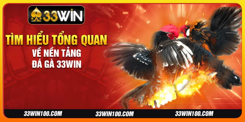 Tìm hiểu tổng quan về nền tảng đá gà 33Win